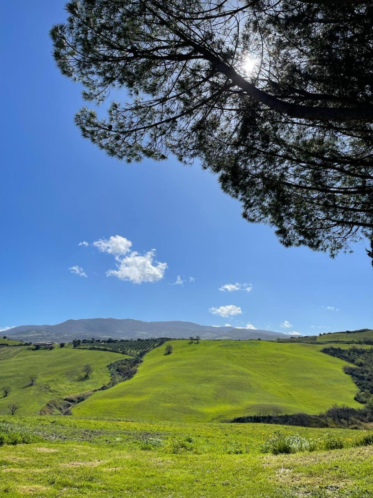Glamping Le Dune Cinigiano Exteriör bild